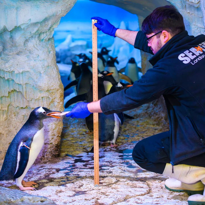 SEA LIFE London Aquarium Tickets